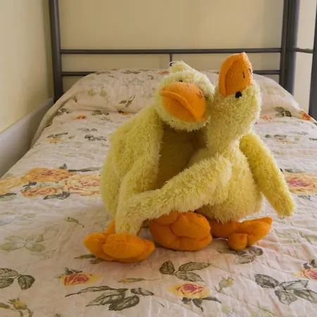 Szálloda Le Petit 3*