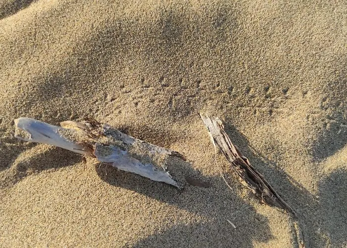 Le Petit Ξενοδοχείο